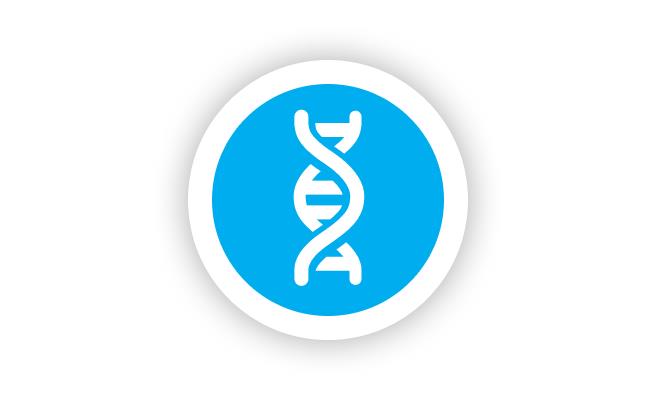 A strand of DNA.